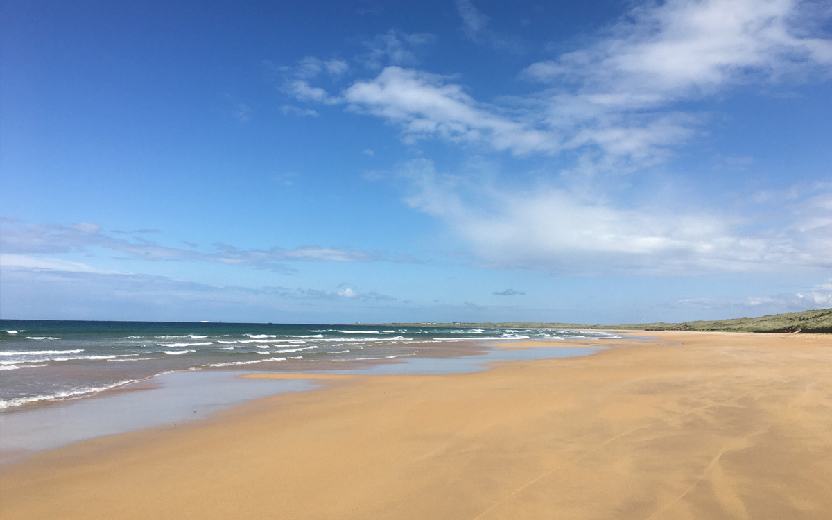 Though you be as the tiniest mote of sand