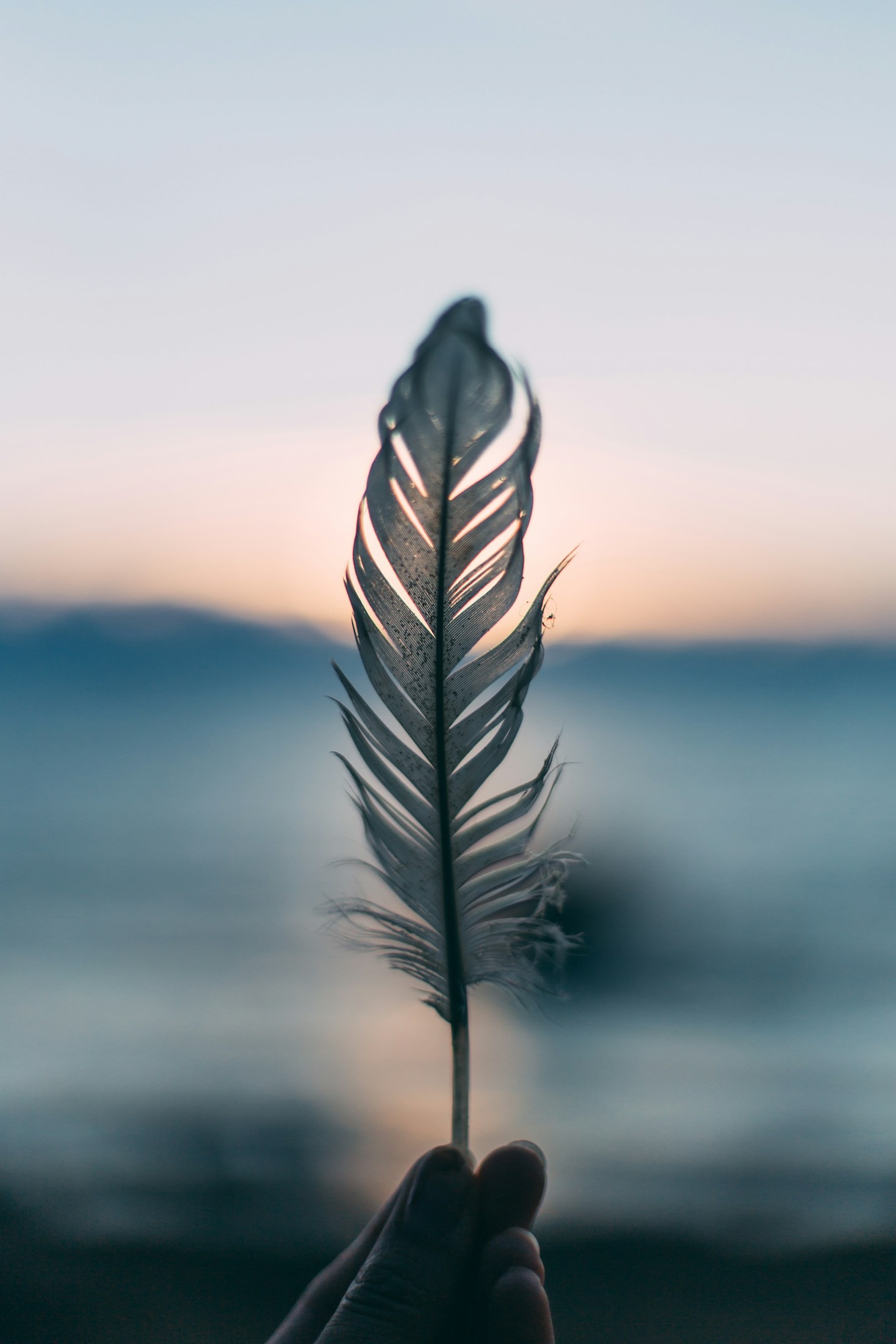 Echoes of Ancient Rituals in Modern Life